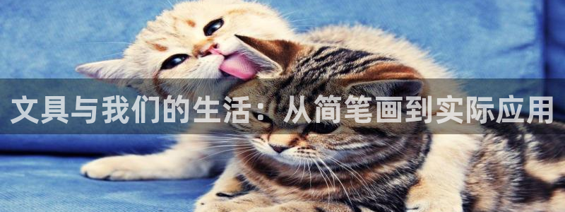九游會官網：文具與我們的生活：從簡筆畫到