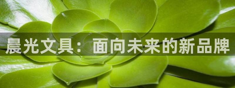 九游會郵箱：晨光文具：面向未來的新品牌