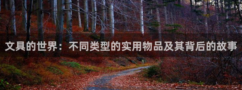 九游為何會測出病毒：文具的世界：不同類型