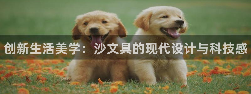 九游會倒閉：創(chuàng)新生活美學(xué)：沙文具的現(xiàn)代設(shè)