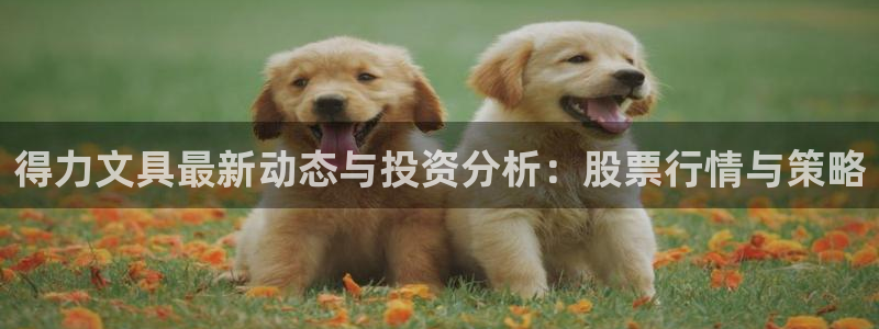 九游會(huì)app 下載：得力文具最新動(dòng)態(tài)與投