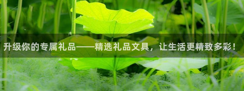 九游會 登錄：升級你的專屬禮品——精選禮