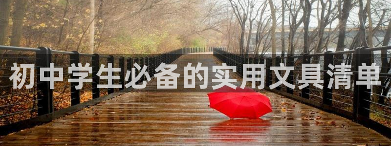 九游貴賓會(huì)：初中學(xué)生必備的實(shí)用文具清單