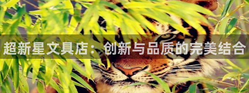 九游會注冊分享：超新星文具店：創(chuàng)新與品質(zhì)