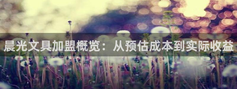 jy9九游會(huì)：晨光文具加盟概覽：從預(yù)估成